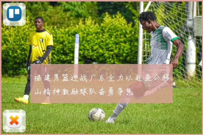 福建男篮迎战广东全力以赴鱼公移山精神激励球队奋勇争先